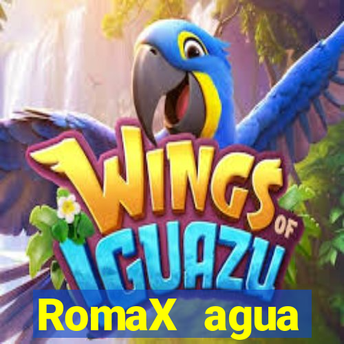 RomaX agua sanitaria fispq agua sanitaria romax
